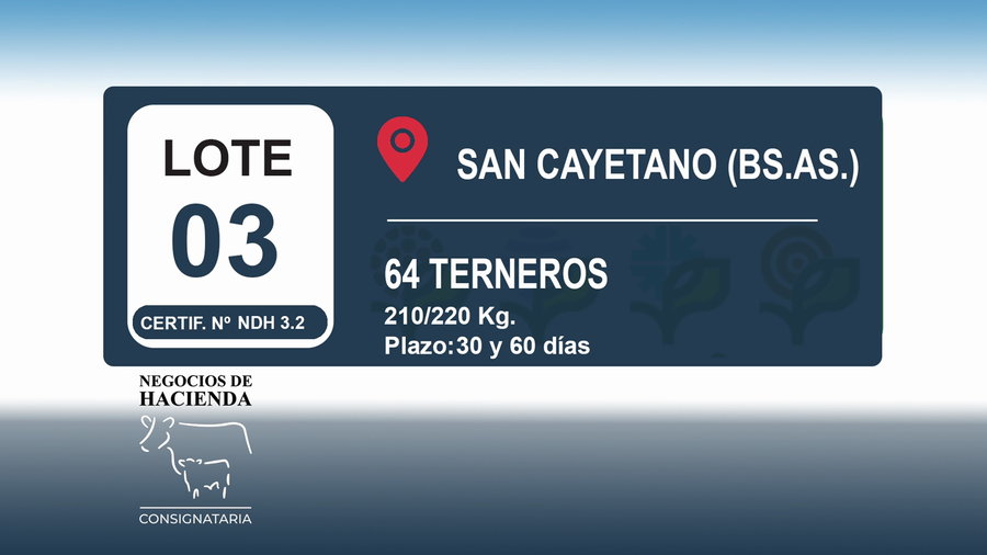 Lote 64 Terneros en Buenos Aires, San Cayetano