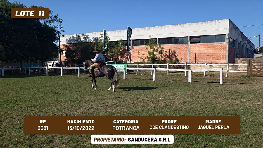 Lote LOTE 11