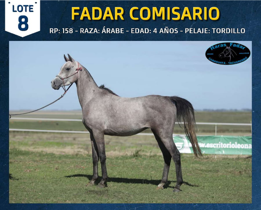 Lote FADAR COMISARIO
