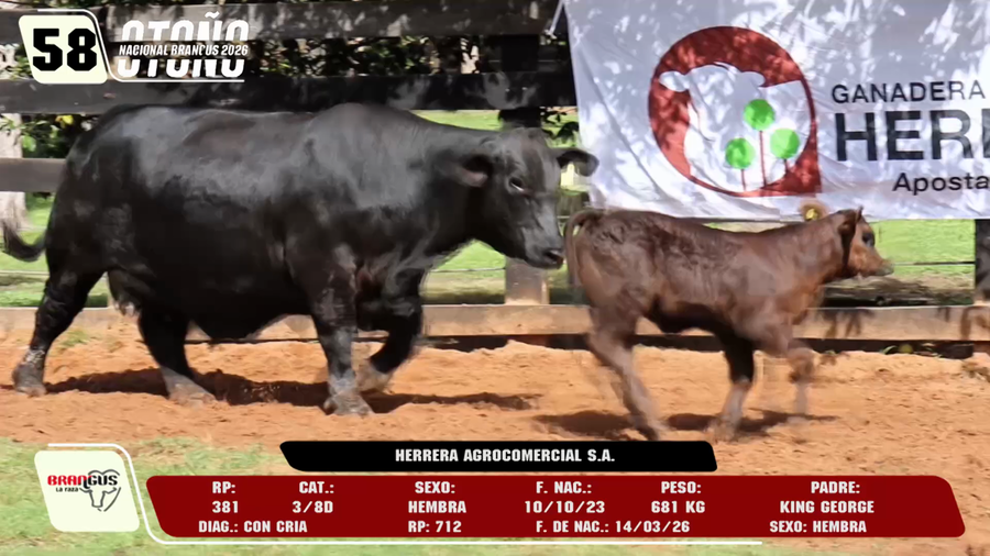 Lote LOTE 58 -DE CAMPO