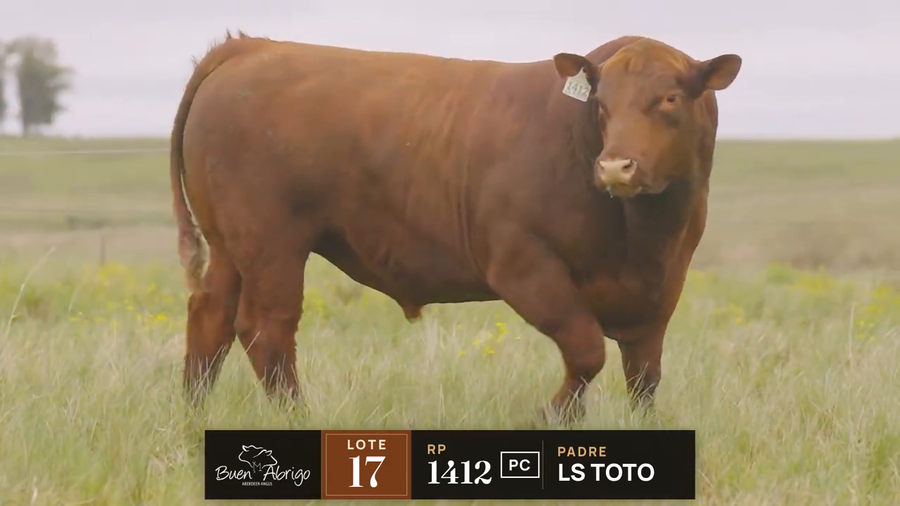 Lote LOTE 17 · TORO PC · RP 1412, 408, 464