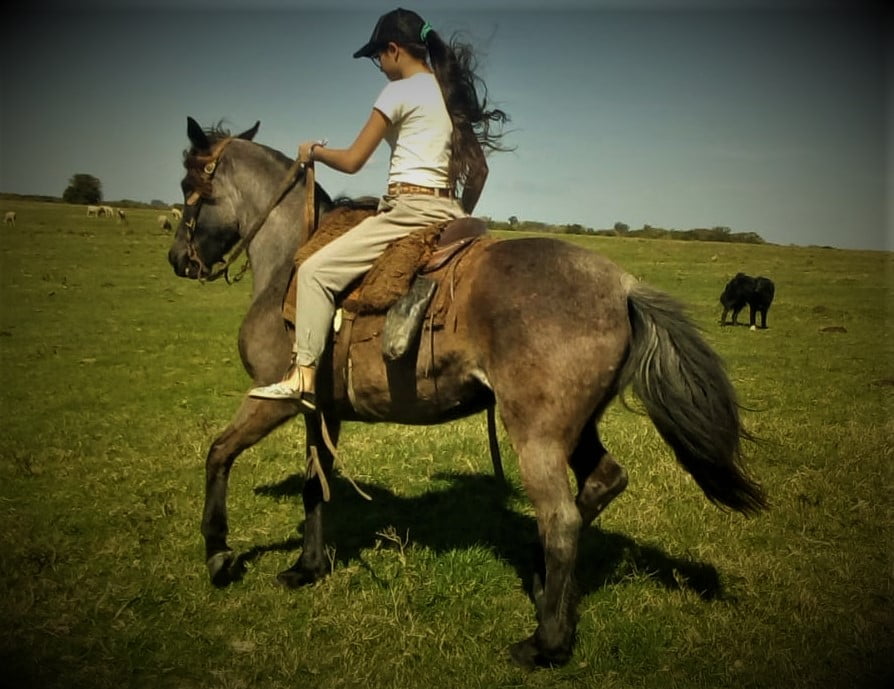 Lote Cabaña "La Picada" - RP 5 - Rebolera