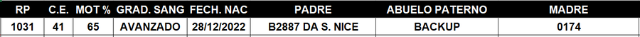 Lote LOTE 7