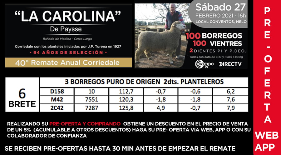 Lote 1 Borregos Planteleros en Cerro Largo, Cerro Largo