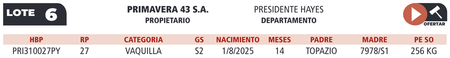 Lote LOTE 6