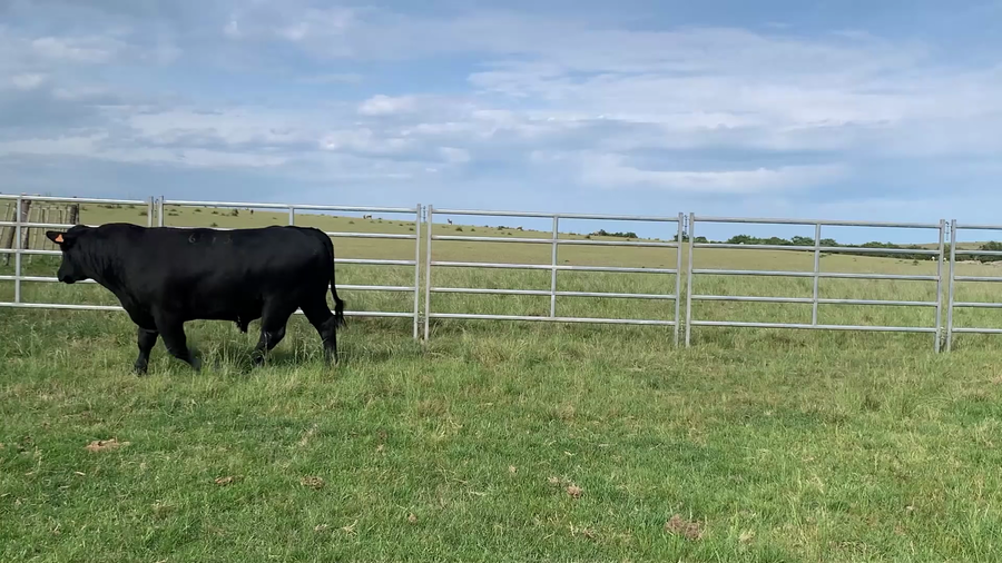 Lote "El Gualicho", RP 6593