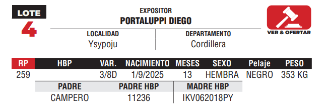 Lote LOTE 4 -JUNIOR