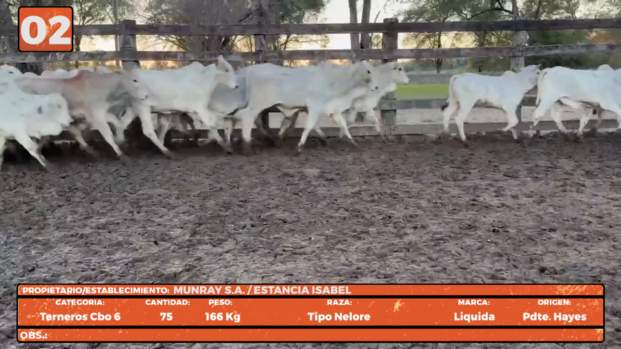 Lote LOTE 2