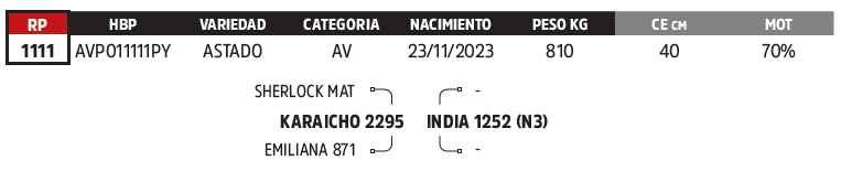 Lote LOTE 14