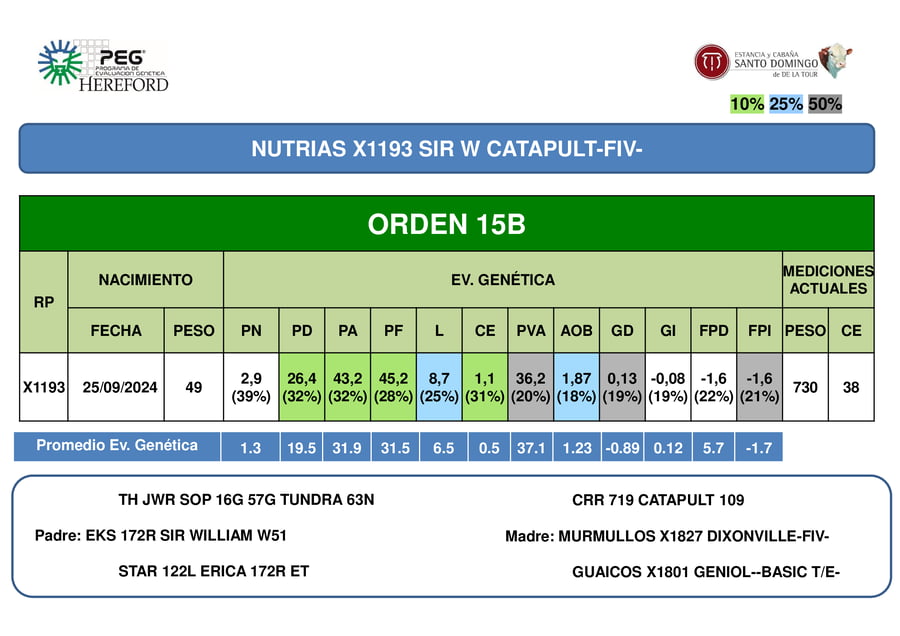 Lote ORDEN 15 TOROS PP