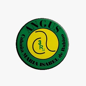 Lote VACA CON CRIA PC ANGUS