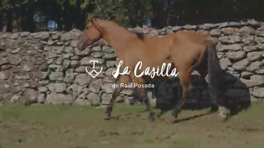 Lote RIENDILLA 676 DE LA CASILLA