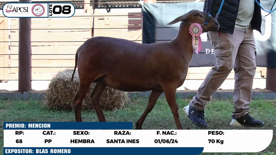 Lote LOTE 8