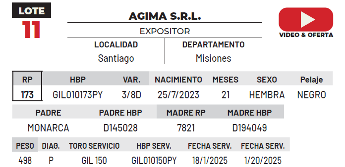 Lote LOTE 11