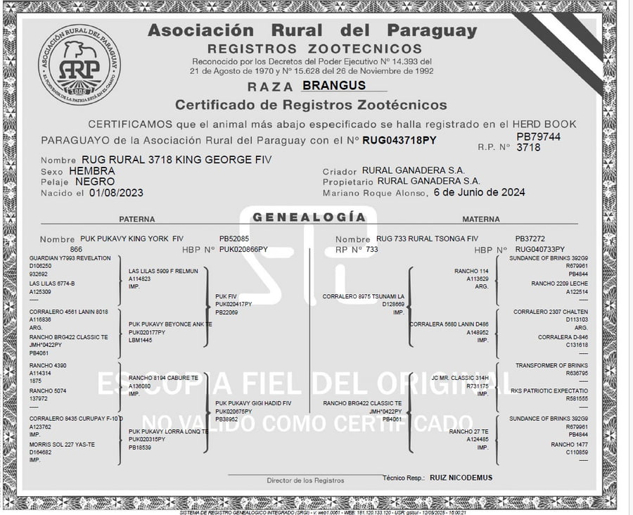 Lote LOTE 13