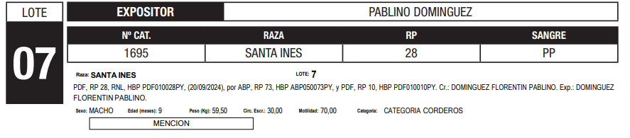 Lote LOTE 7