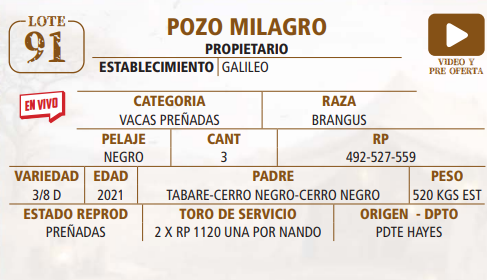 Lote LOTE 91 -EN VIVO