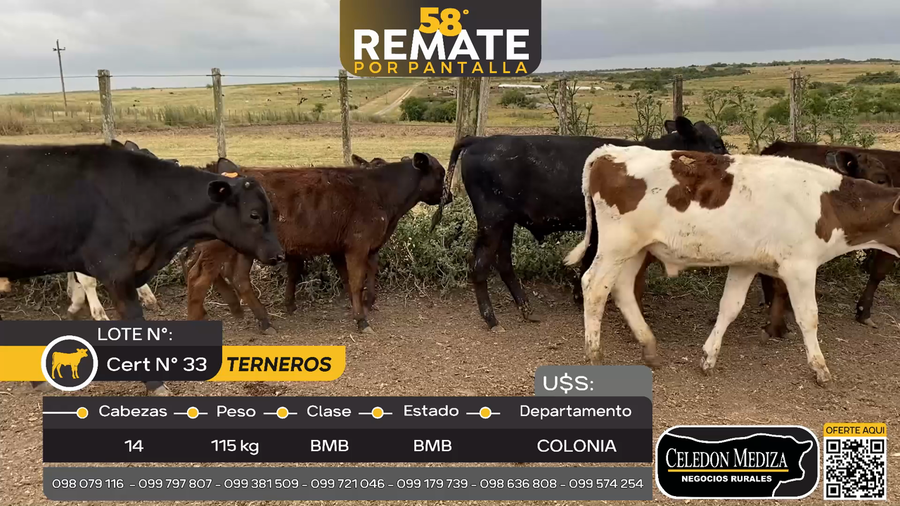 Lote 14 Terneros en Otra Localidad, Colonia