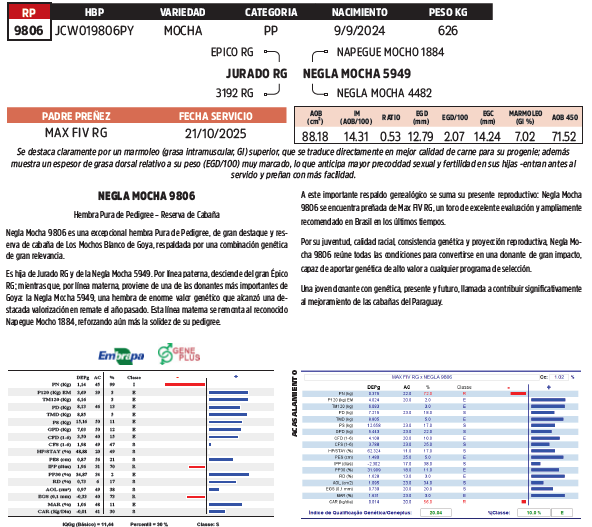 Lote LOTE 46
