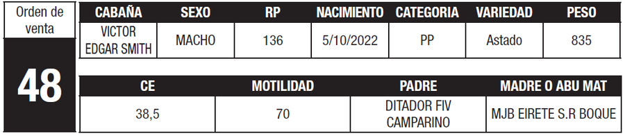 Lote LOTE 48
