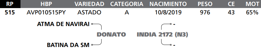 Lote LOTE   85 RP 515