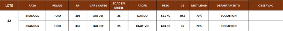 Lote LOTE 42
