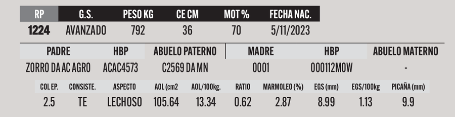 Lote LOTE 3