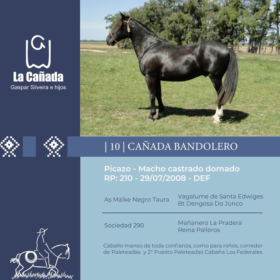 Lote Cañada Bandolero (RP 210) Cabaña "La Cañada"