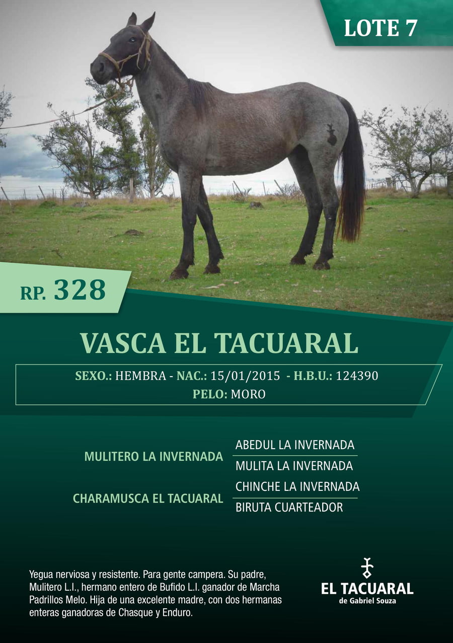 Lote VASCA EL TACUARAL - R.P. 328