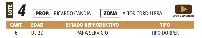 Lote LOTE 4 -POR PANTALLA