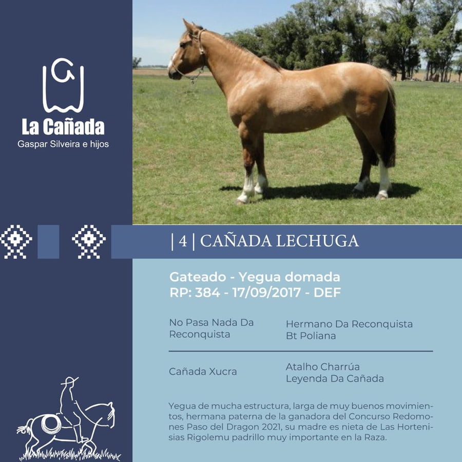 Lote Cañada Lechuga (RP 384) Cabaña "La Cañada"