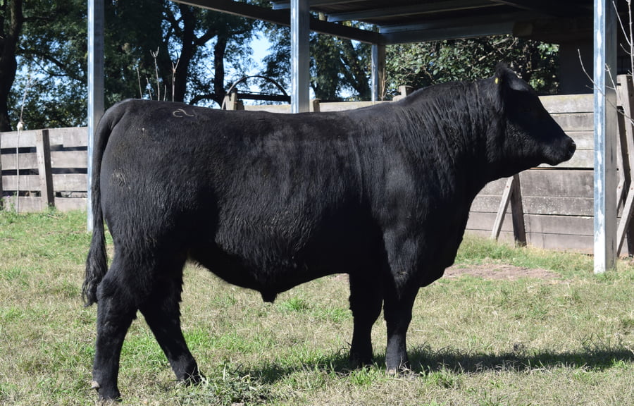 Lote CABAÑA “COEMBOTÁ” de Calderón RP 127