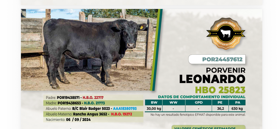 Lote 1 Toro LEONARDO DIIO 7612