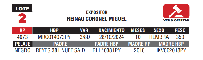 Lote LOTE 2 - JUNIOR