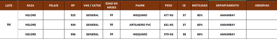 Lote LOTE 64- POR PANTALLA