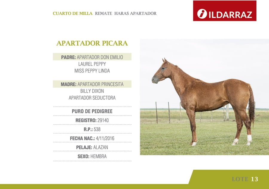 Lote APARTADOR PICARA