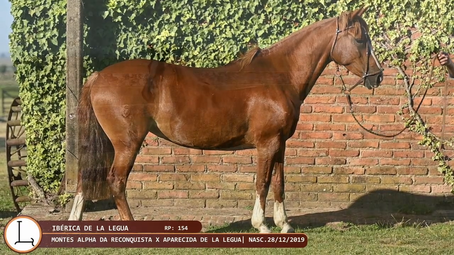 Lote Ibérica de la Legua