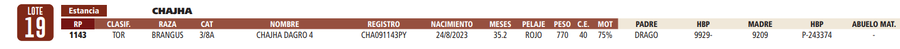 Lote LOTE 19
