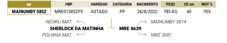 Lote LOTE 2