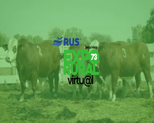 Lote TORO BRAFORD GEN. INTERMEDIA