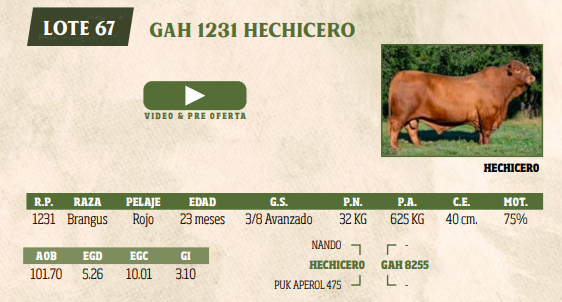 Lote LOTE 67