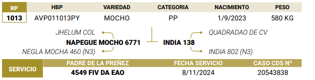 Lote LOTE 52