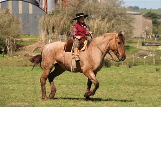 Lote SANTA GLORIA BUENA NENA