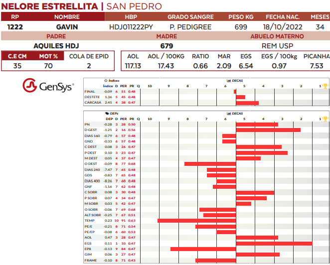 Lote LOTE 9
