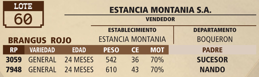 Lote LOTE 60 - VIVO