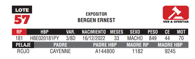 Lote LOTE 57 - CAMPO