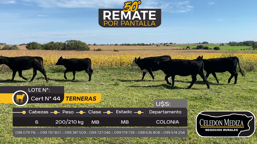 Lote 6 Terneras en Puntas de Arenales, Colonia