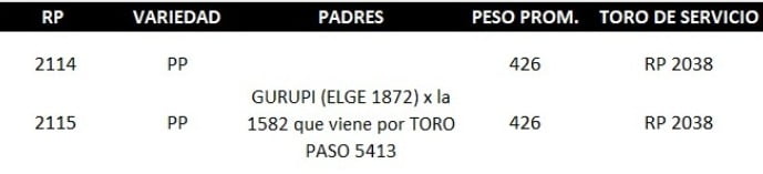 Lote LOTE 74 - EN VIVO