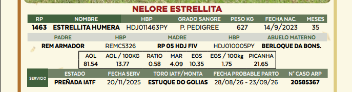 Lote LOTE 29