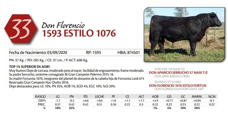 Lote TORO
